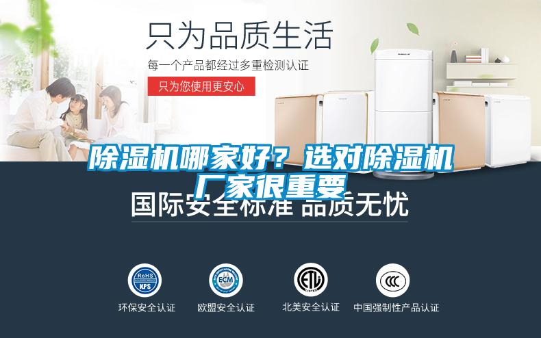 欧美黄色电影在线播放 除湿机哪家好？选对除湿机厂家很重要