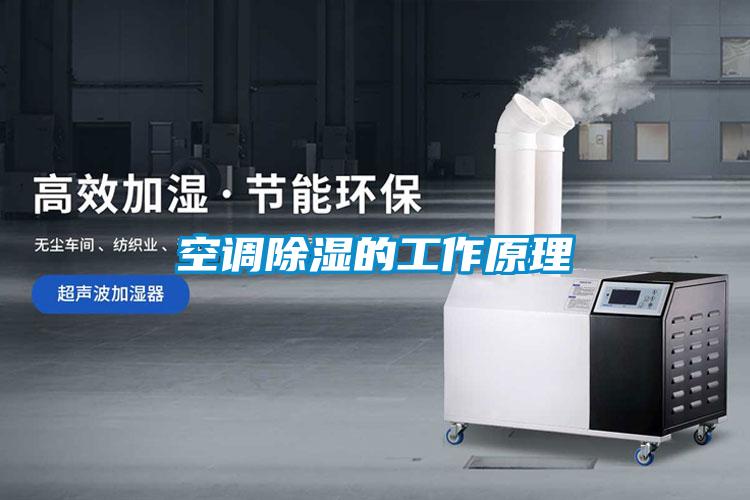 欧美黄色性爱视频网站 空调除湿的工作原理