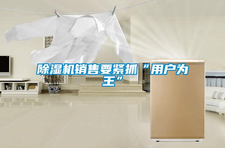 欧美成色手机在线观看 除湿机销售要紧抓“用户为王”