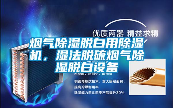 欧美黄色电影在线播放 烟气除湿脱白用除湿机，湿法脱硫烟气除湿脱白设备