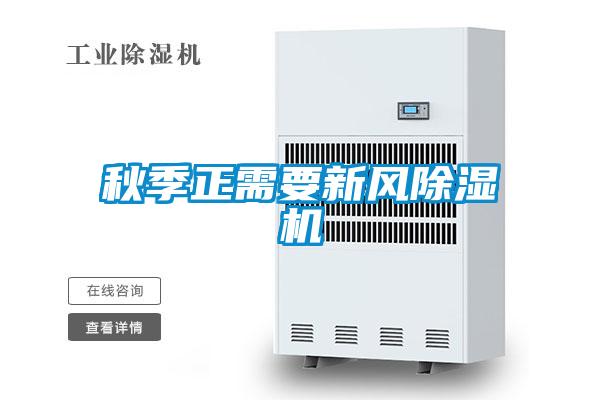 欧美成色手机在线观看 秋季正需要新风除湿机