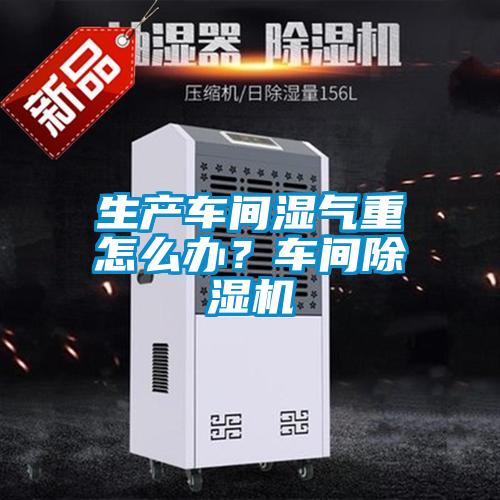 欧美成色手机在线观看 生产车间湿气重怎么办？车间除湿机