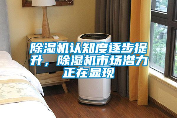 欧美黄色电影在线播放 除湿机认知度逐步提升，除湿机市场潜力正在显现