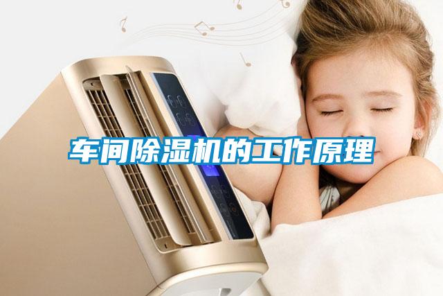 欧美黄色电影在线播放 车间除湿机的工作原理