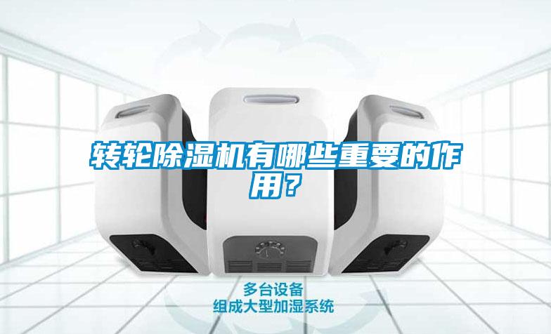 欧美黄色性爱视频网站 转轮除湿机有哪些重要的作用？
