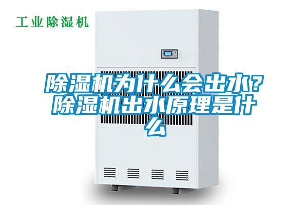 欧美黄色电影在线播放 除湿机为什么会出水？除湿机出水原理是什么