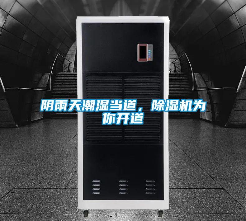 欧美黄色电影在线播放 阴雨天潮湿当道，除湿机为你开道