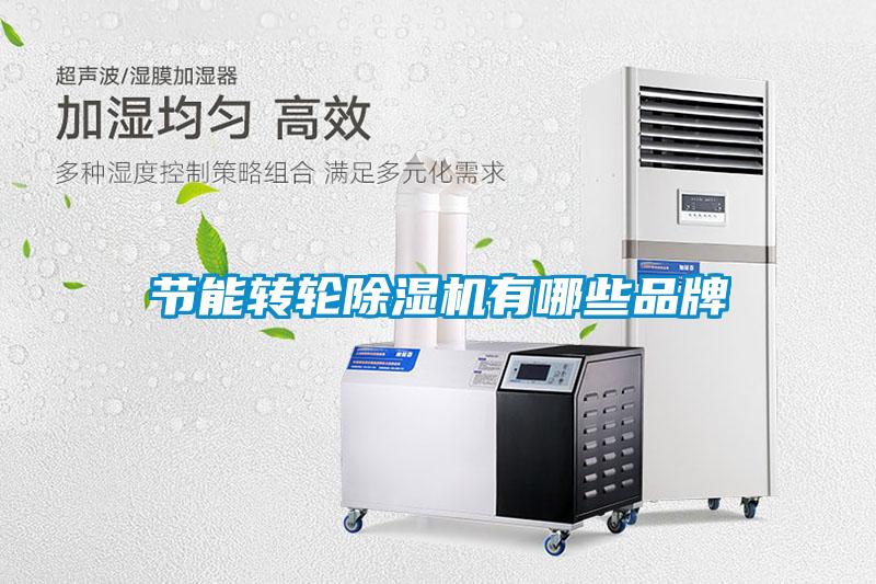 欧美黄色性爱视频网站 节能转轮除湿机有哪些品牌