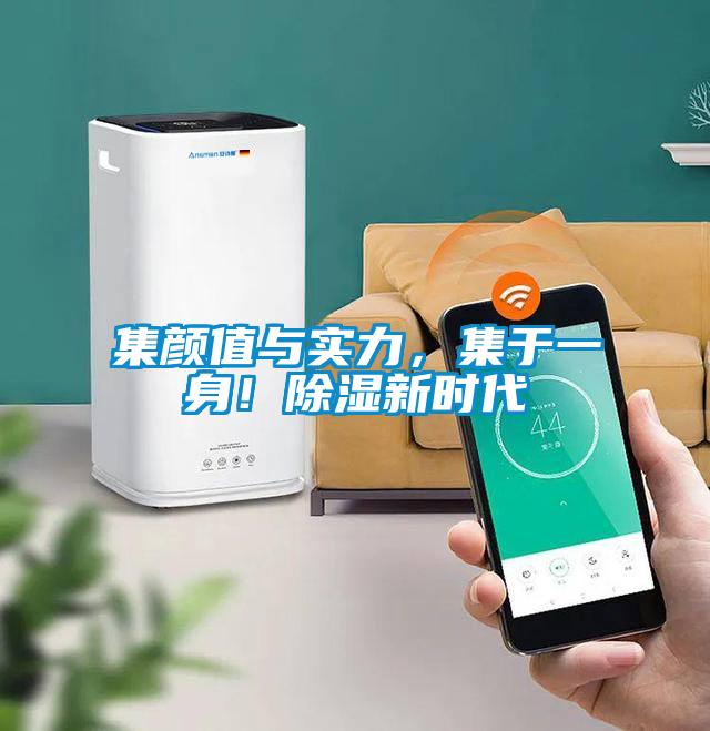 欧美黄色电影在线播放 集颜值与实力，集于一身！除湿新时代