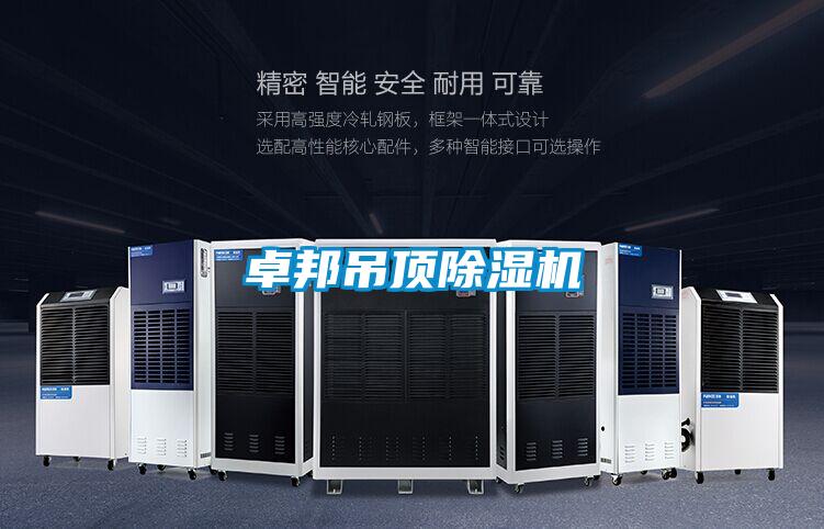 欧美成色手机在线观看 卓邦吊顶除湿机