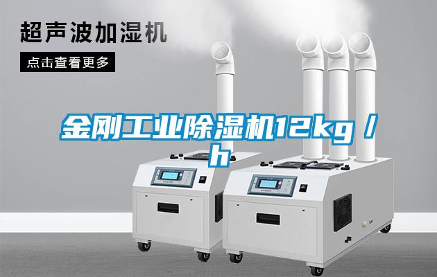 欧美黄色电影在线播放 金刚工业除湿机12kg／h