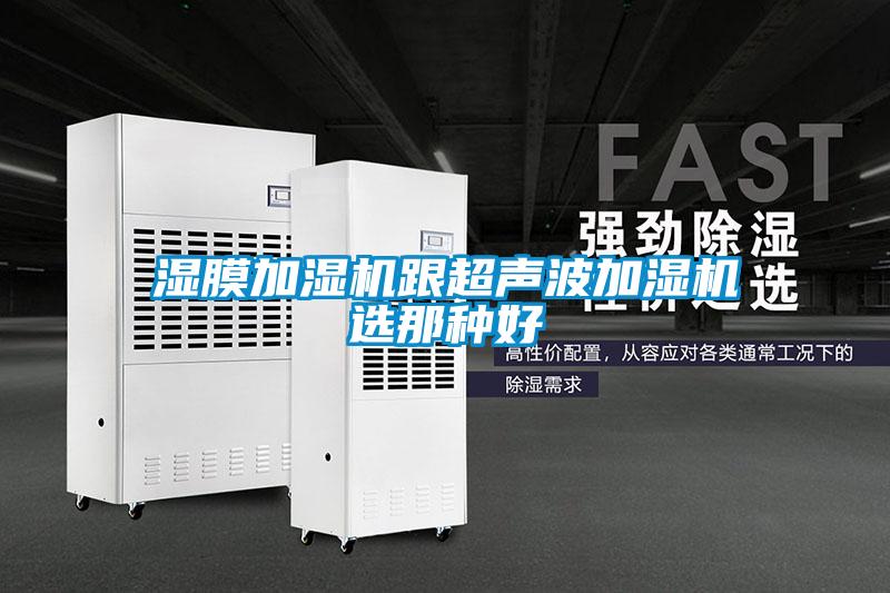 欧美黄色性爱视频网站 湿膜加湿机跟超声波加湿机选那种好