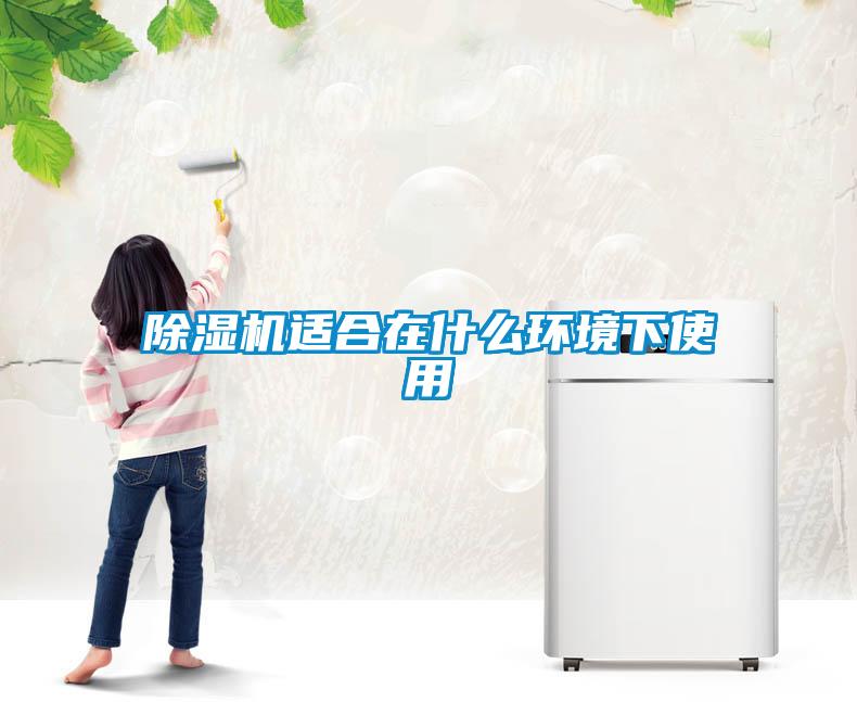 欧美成色手机在线观看 除湿机适合在什么环境下使用