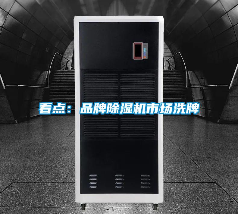 欧美黄色性爱视频网站 看点：品牌除湿机市场洗牌
