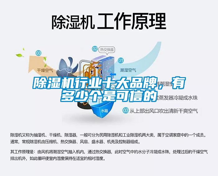 欧美黄色性爱视频网站 除湿机行业十大品牌，有多少个是可信的