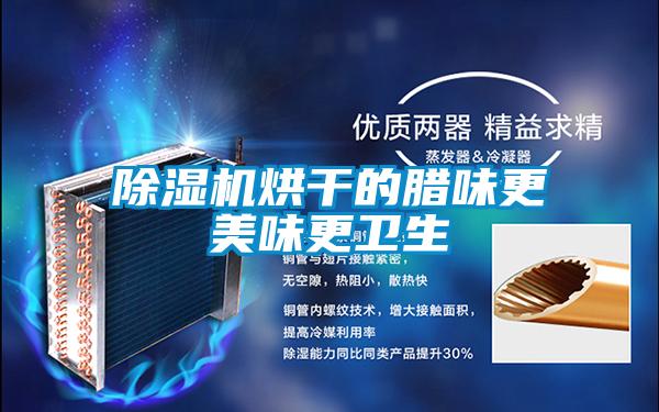 欧美黄色电影在线播放 除湿机烘干的腊味更美味更卫生