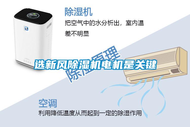 欧美黄色电影在线播放 选新风除湿机电机是关键
