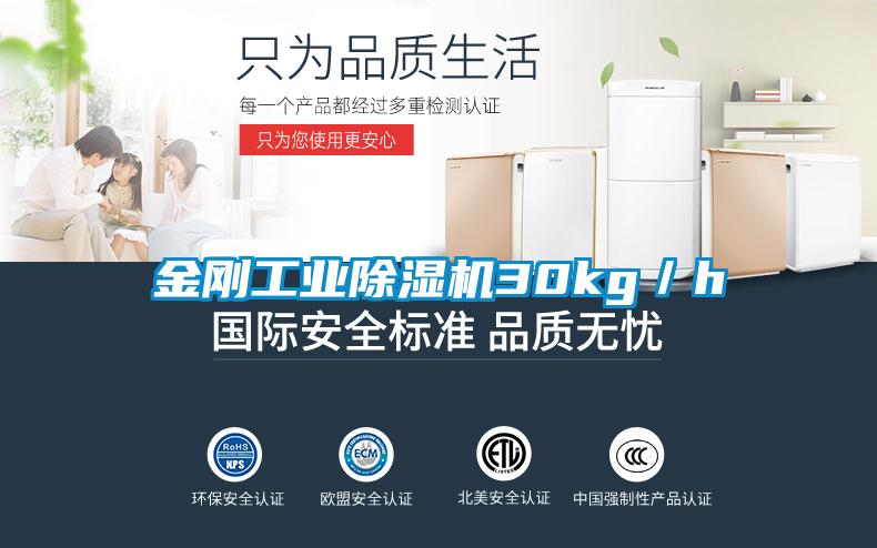 欧美黄色电影在线播放 金刚工业除湿机30kg／h