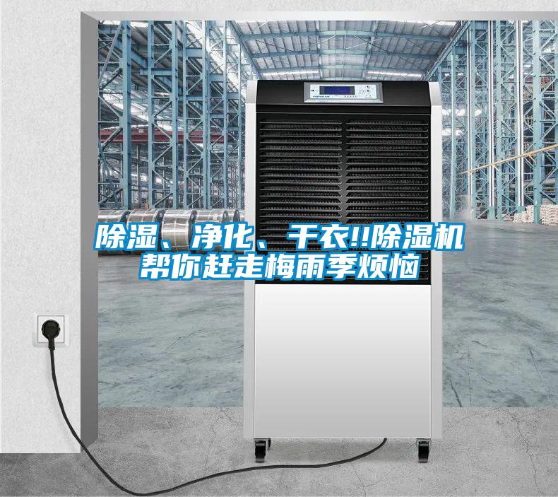 欧美黄色性爱视频网站 除湿、净化、干衣!!除湿机帮你赶走梅雨季烦恼