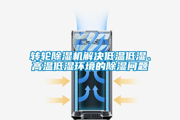 欧美黄色电影在线播放 转轮除湿机解决低温低湿、高温低湿环境的除湿问题