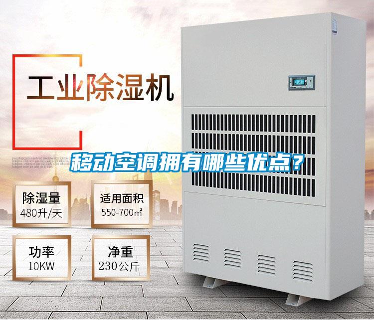 欧美黄色性爱视频网站 移动空调拥有哪些优点？