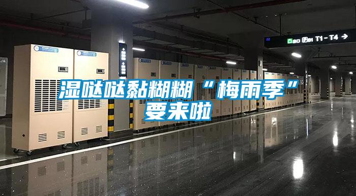 欧美成色手机在线观看 湿哒哒黏糊糊“梅雨季”要来啦