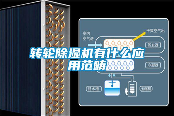 欧美黄色电影在线播放 转轮除湿机有什么应用范畴