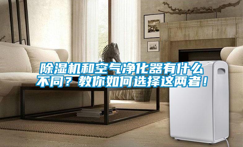 欧美黄色电影在线播放 除湿机和空气净化器有什么不同？教你如何选择这两者！