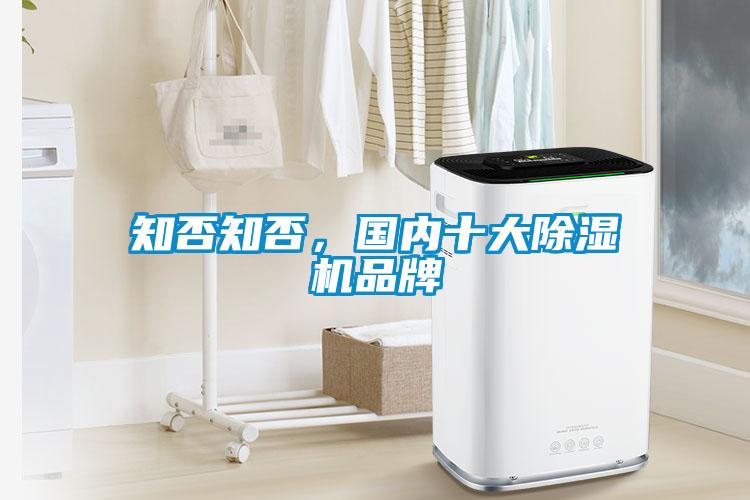 欧美黄色性爱视频网站 知否知否，国内十大除湿机品牌