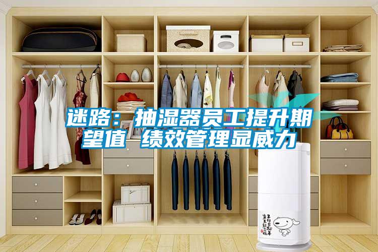 欧美成色手机在线观看 迷路：抽湿器员工提升期望值 绩效管理显威力