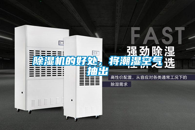 欧美黄色电影在线播放 除湿机的好处，将潮湿空气抽出