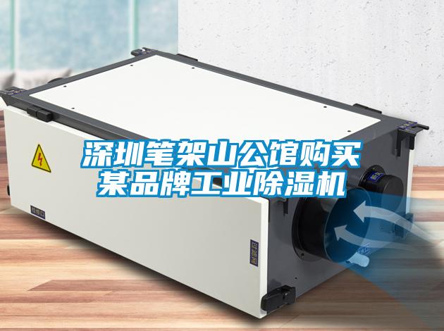 欧美黄色性爱视频网站 深圳笔架山公馆购买某品牌工业除湿机