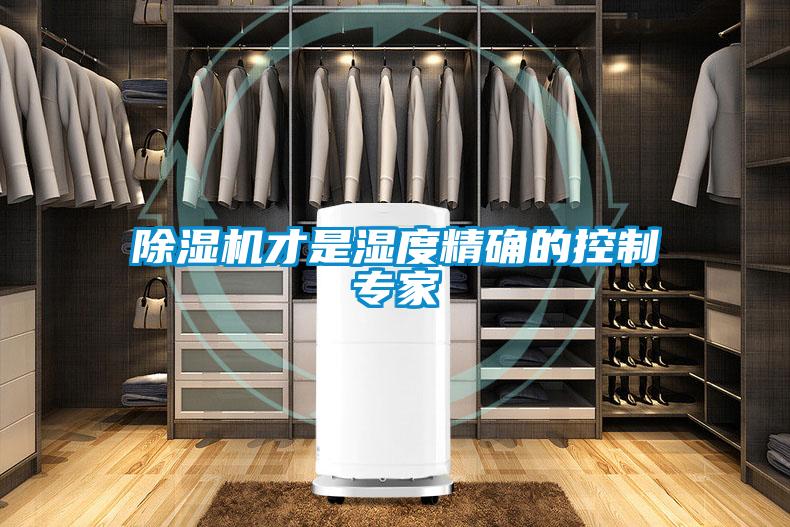 欧美黄色性爱视频网站 除湿机才是湿度精确的控制专家