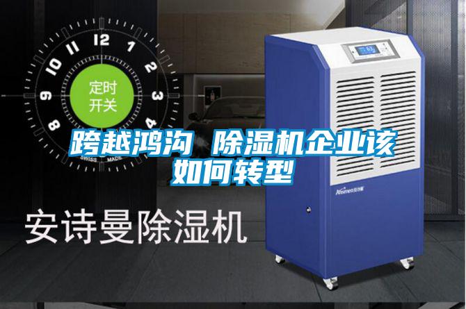 欧美黄色电影在线播放 跨越鸿沟 除湿机企业该如何转型