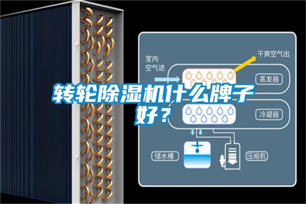 欧美黄色电影在线播放 转轮除湿机什么牌子好？
