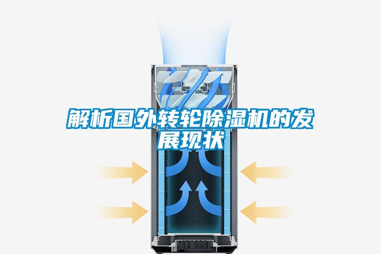 欧美成色手机在线观看 解析国外转轮除湿机的发展现状