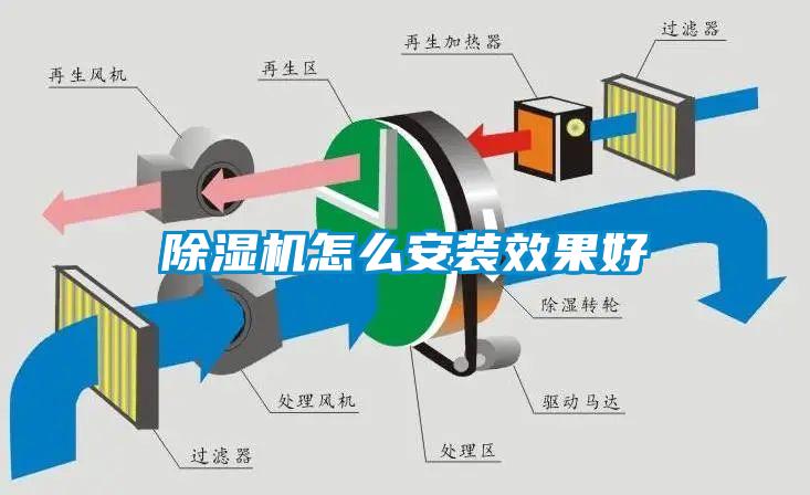 欧美黄色性爱视频网站 除湿机怎么安装效果好