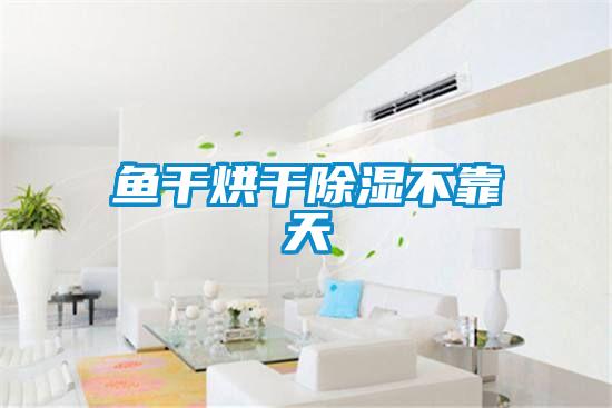 欧美成色手机在线观看 鱼干烘干除湿不靠天