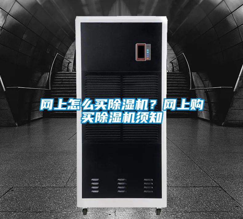 欧美成色手机在线观看 网上怎么买除湿机？网上购买除湿机须知