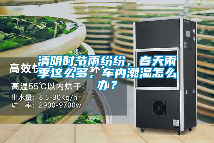 欧美黄色性爱视频网站 清明时节雨纷纷，春天雨季这么多，车内潮湿怎么办？
