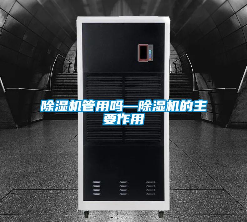 欧美成色手机在线观看 除湿机管用吗—除湿机的主要作用