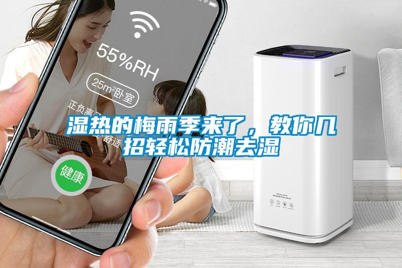 欧美黄色电影在线播放 湿热的梅雨季来了，教你几招轻松防潮去湿