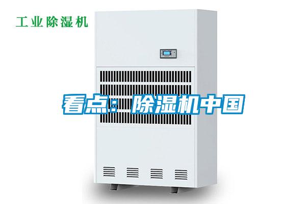 欧美黄色性爱视频网站 看点：除湿机中国