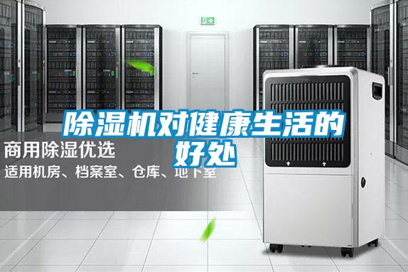 欧美黄色性爱视频网站 除湿机对健康生活的好处