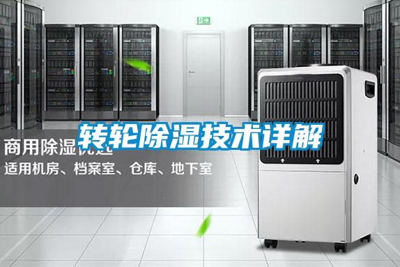 欧美黄色电影在线播放 转轮除湿技术详解