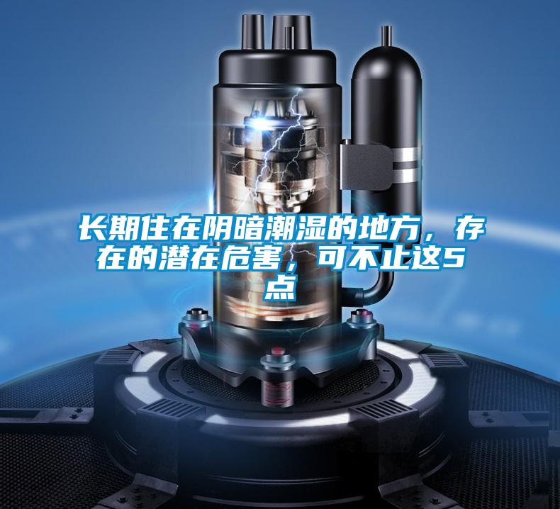 欧美黄色电影在线播放 长期住在阴暗潮湿的地方，存在的潜在危害，可不止这5点