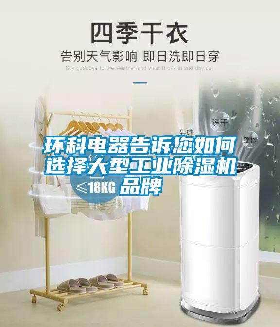 欧美黄色电影在线播放 环科电器告诉您如何选择大型工业除湿机品牌