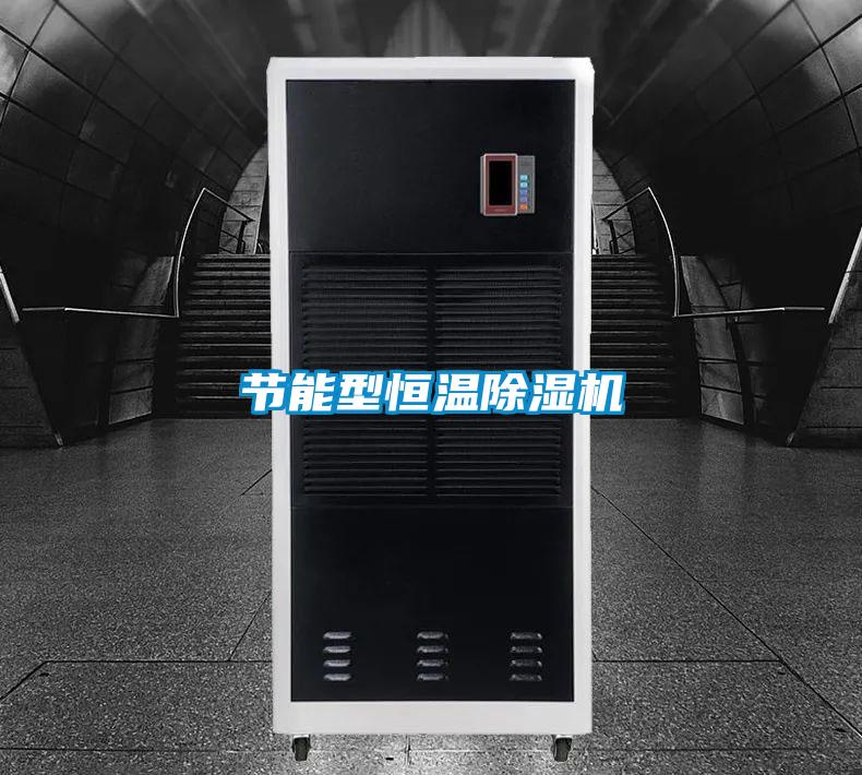 欧美黄色性爱视频网站 节能型恒温除湿机