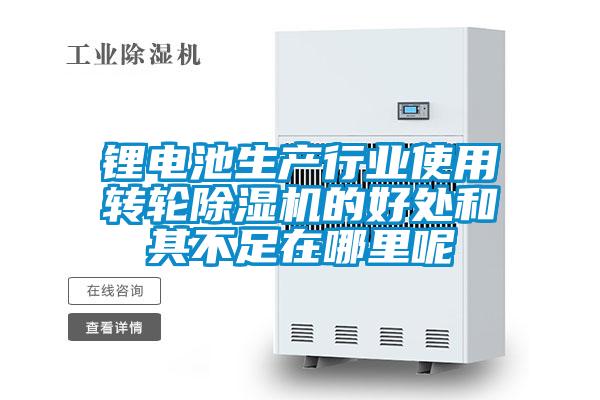 欧美成色手机在线观看 锂电池生产行业使用转轮除湿机的好处和其不足在哪里呢
