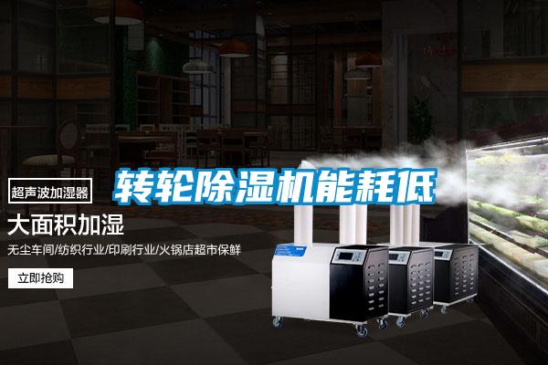 欧美黄色电影在线播放 转轮除湿机能耗低